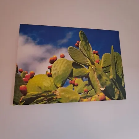 Ammirata Палермо